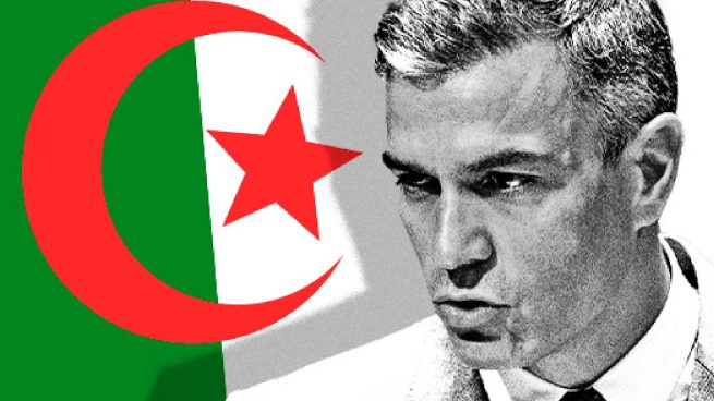 empresarios argelinos