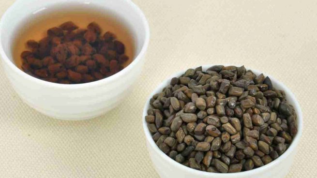 Té de cebada: todos los beneficios de esta bebida en expansión