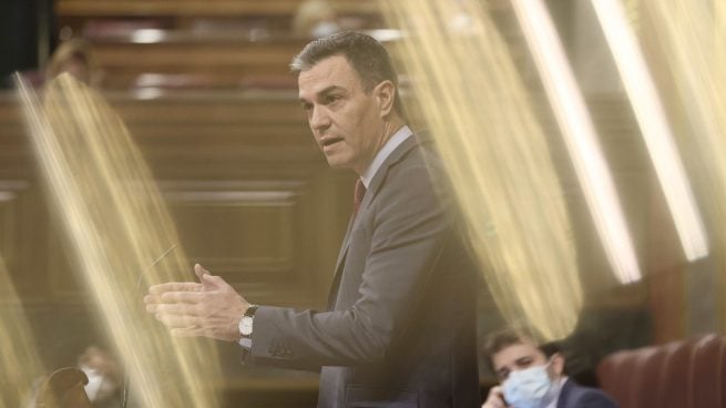 Pedro Sánchez