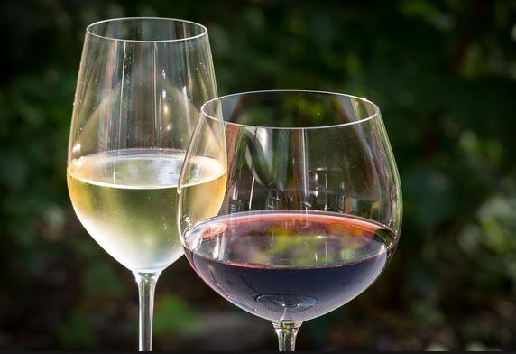 Los vinos españoles que han tenido mayor puntuación en la guía Peñín