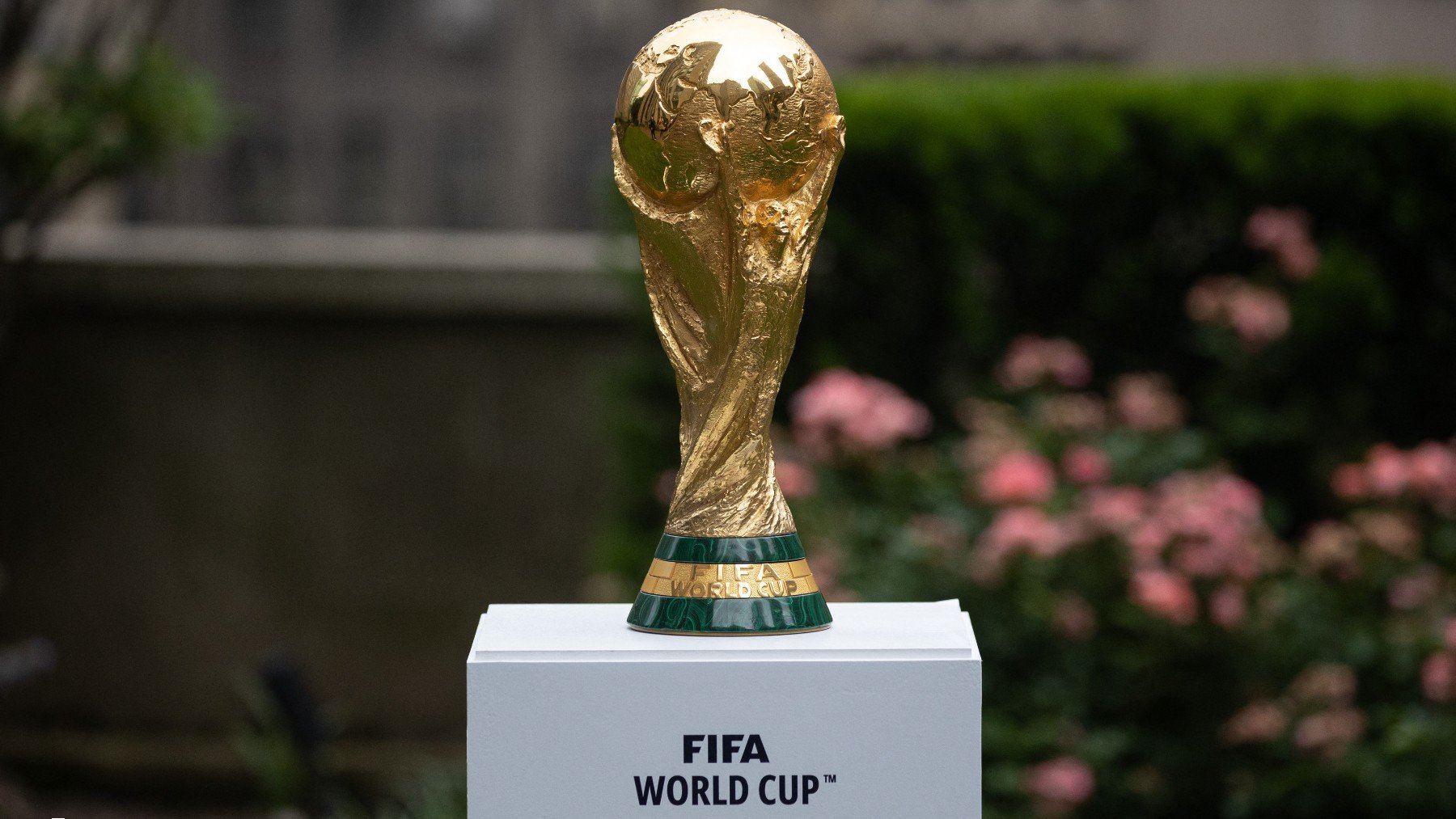 El trofeo del Mundial de fútbol. (AFP)