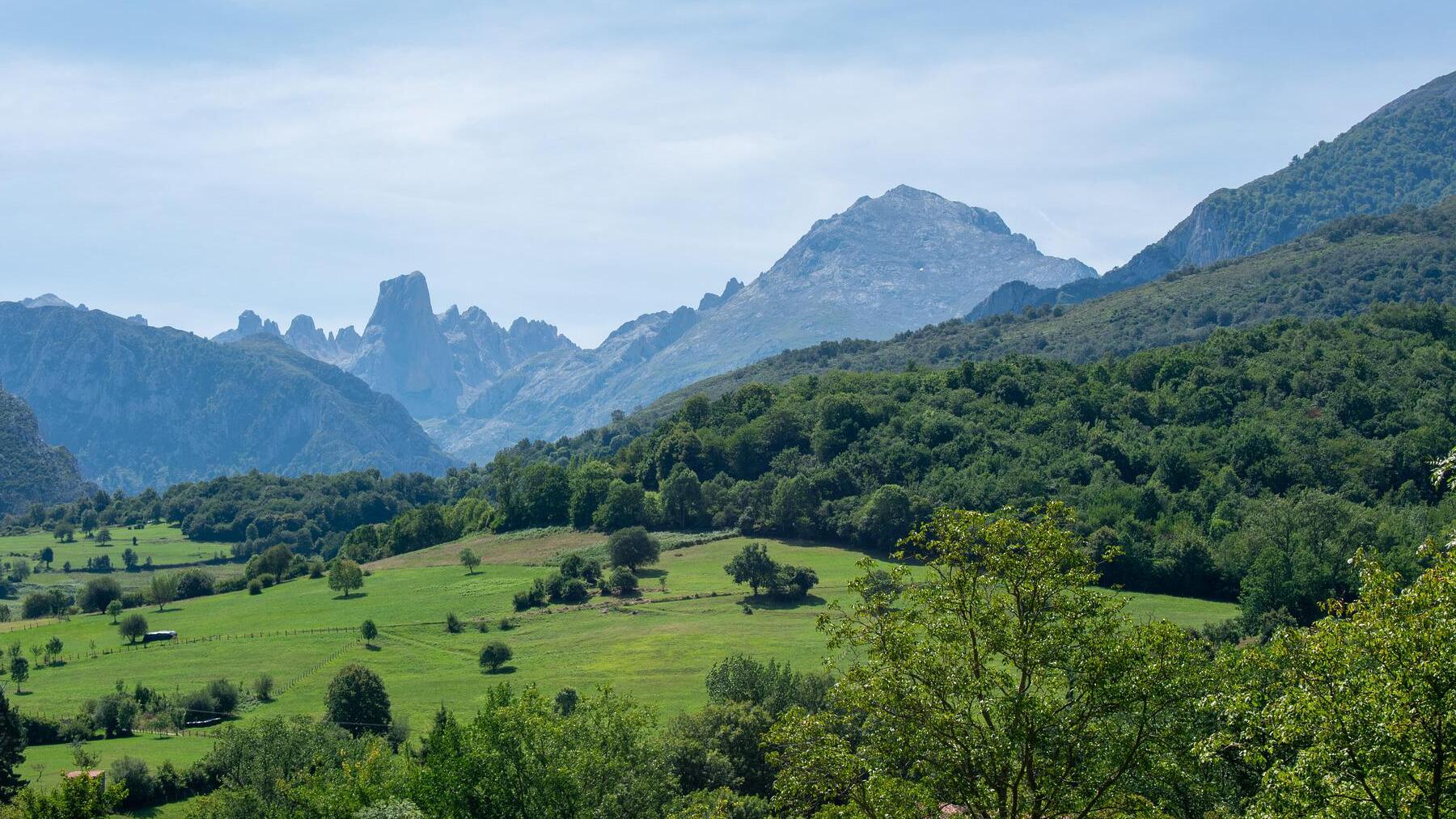 Bulnes