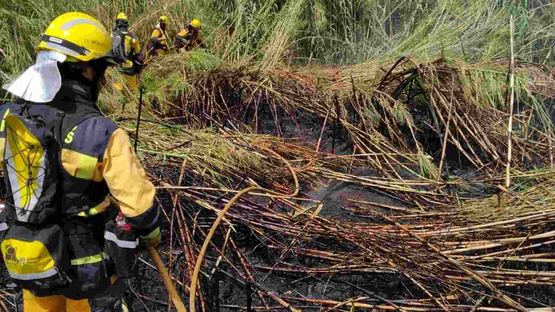 Extinguido el incendio forestal del torrent de Massanella, en Selva (Mallorca). – @IBANAT_IB
