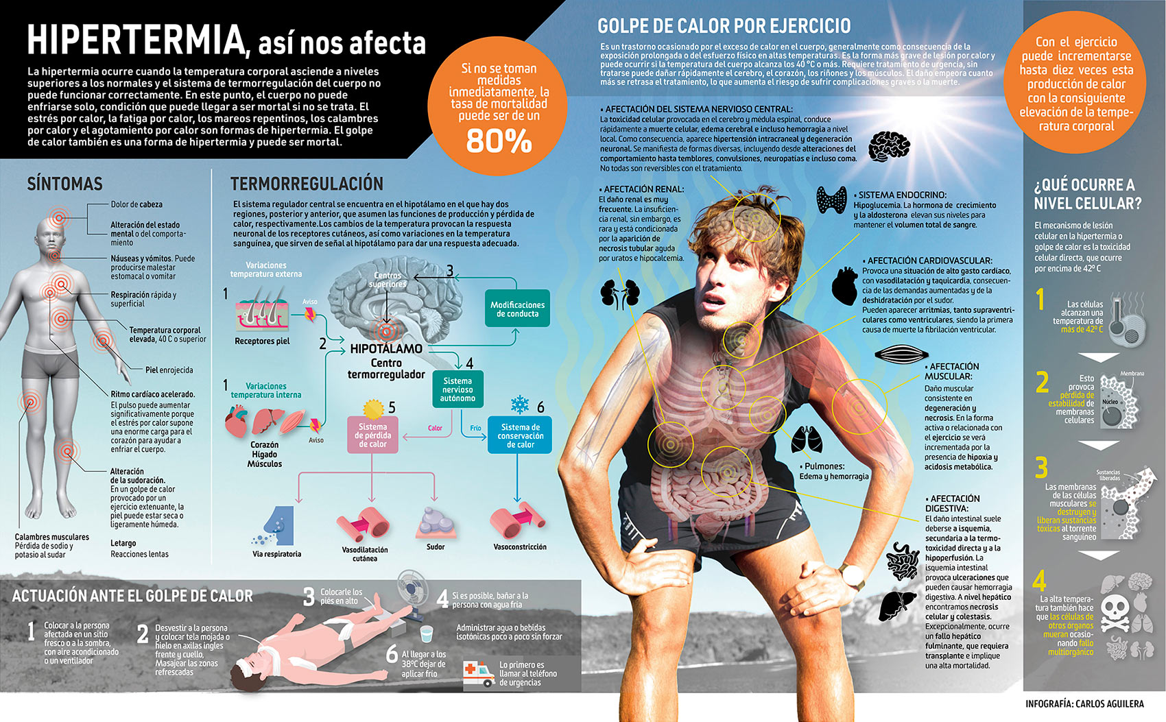 Elevadas temperaturas: ¿Qué efectos tienen para el cuerpo y la mente? INFOGRAFÍA de Carlos Aguilera.