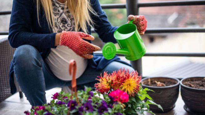 jardinería embarazo
