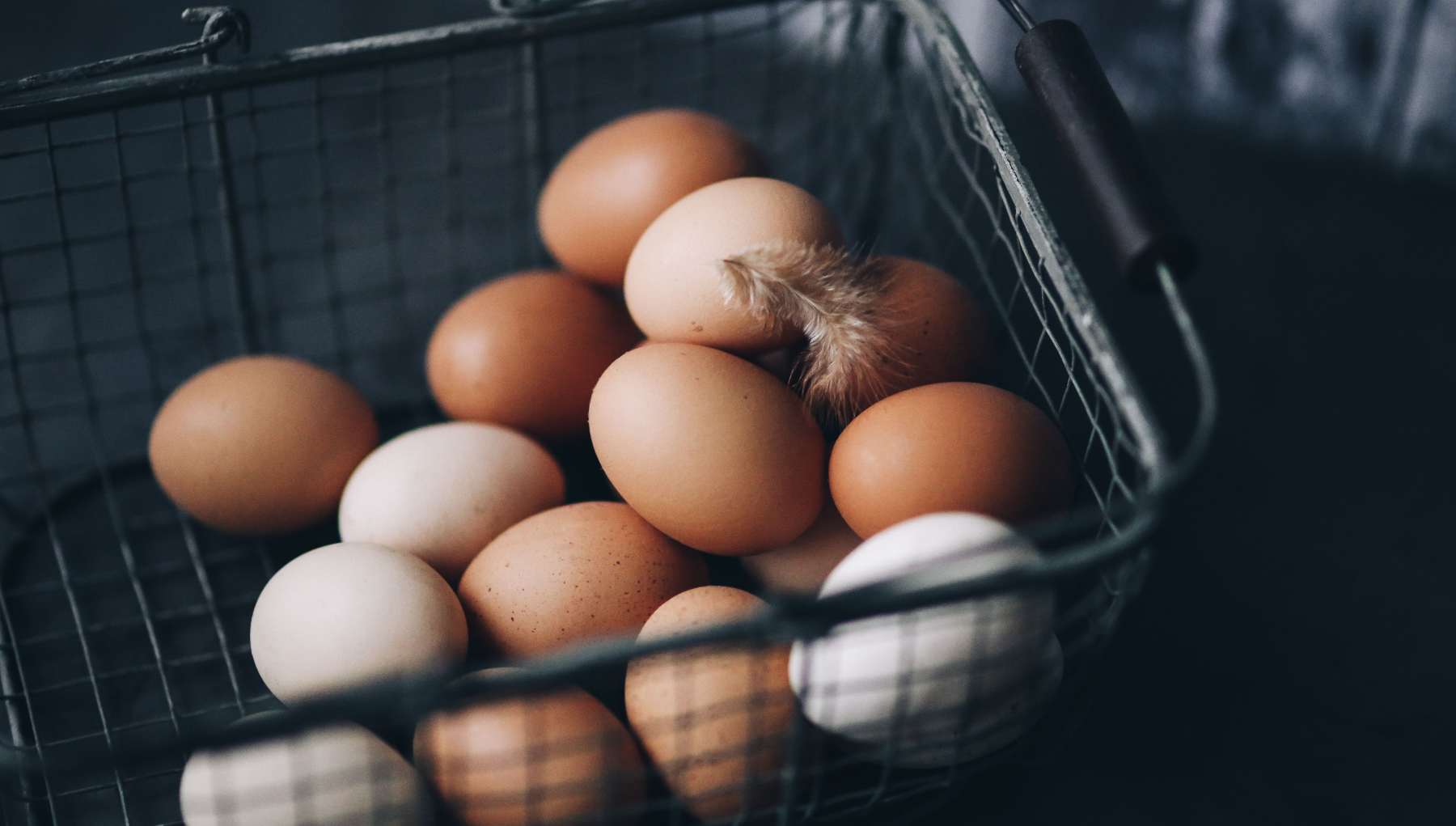 Relación entre huevos y colesterol