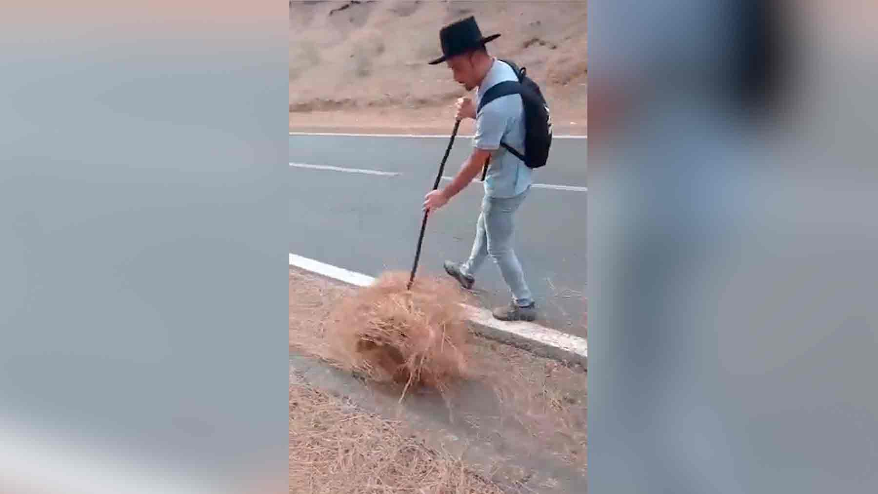 Un agricultor limpia el monte
