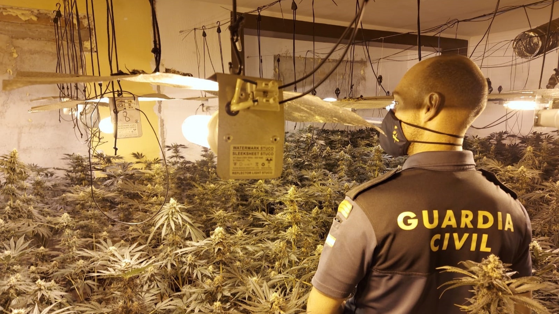 Operación contra la marihuana de la Guardia Civil.