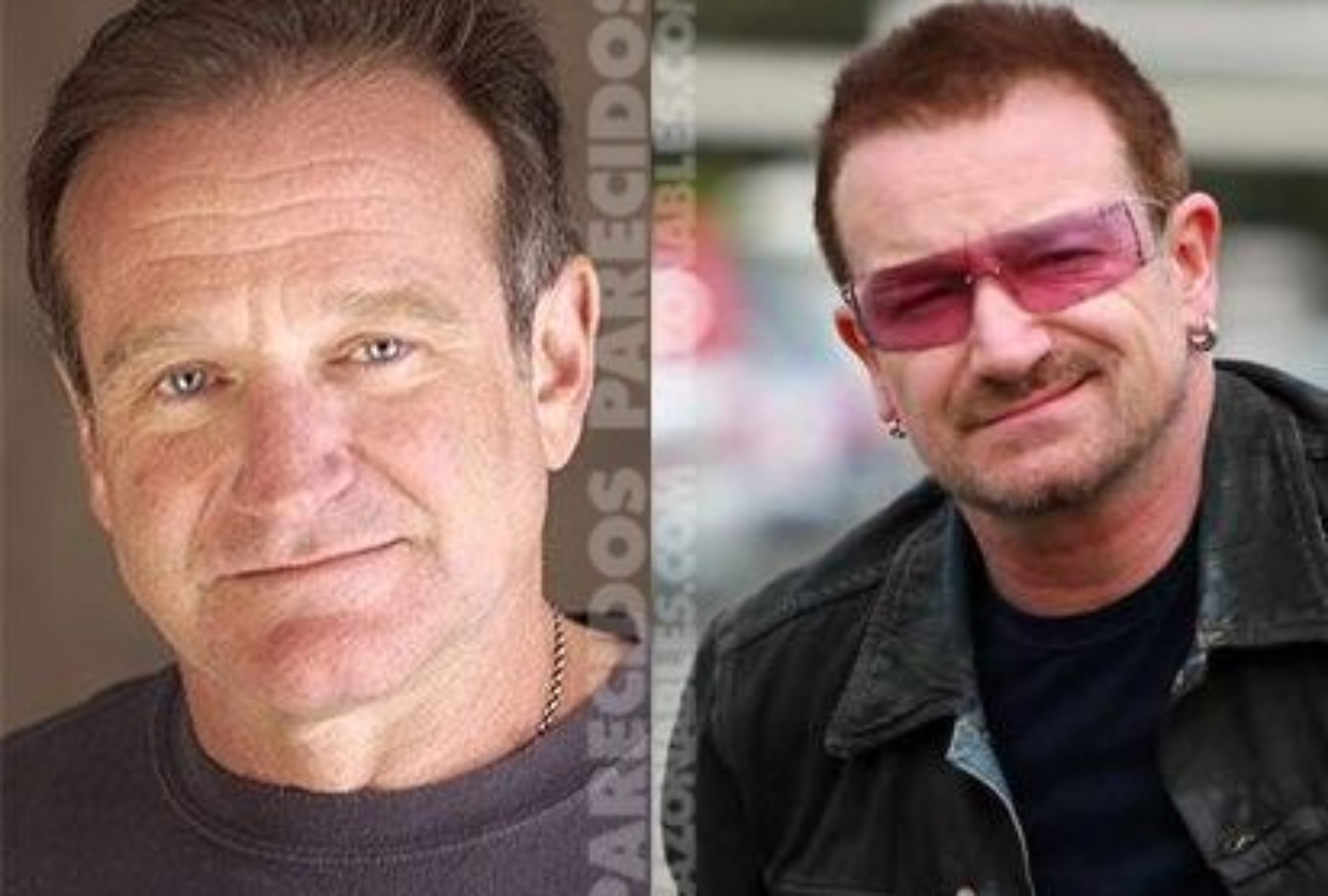 Robin Williams y Bono, de U2