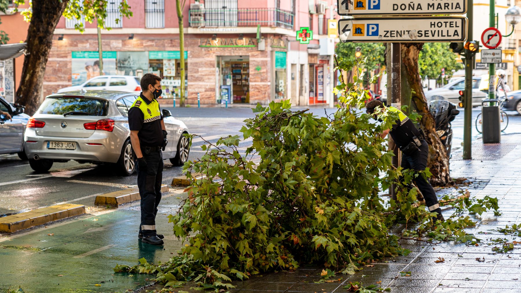 Policías municipales retiran una rama caída en la calle Luis Montoto de Sevilla (EUROPA PRESS).