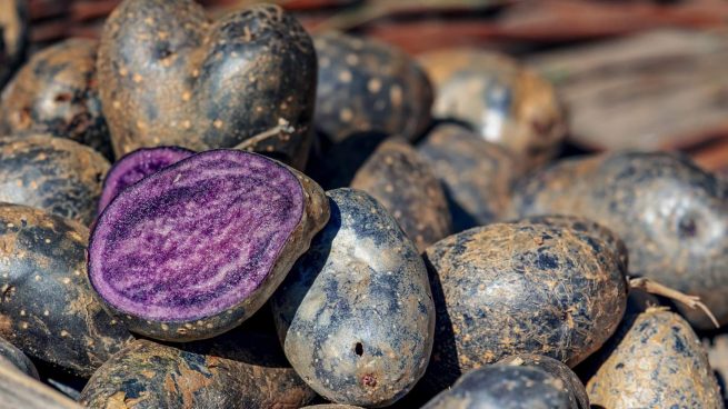 Patatas violeta