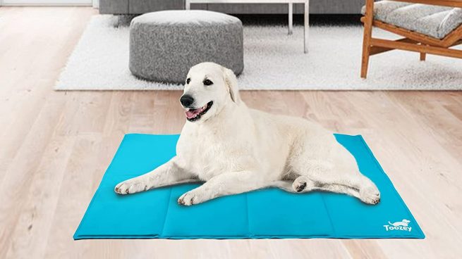 Las mejores alfombras refrescantes para perros disponibles en Amazon