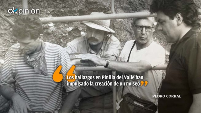 Piel de bisonte