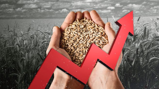 El precio del trigo vaticina un otoño negro: sube un 12% y encarece aún más la cesta de la compra