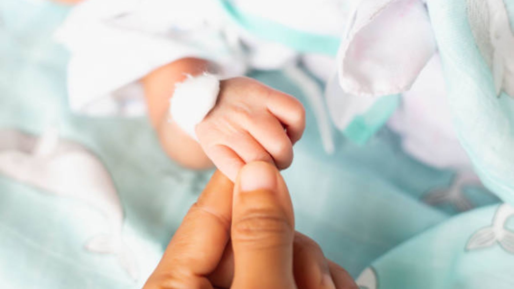 Descubre de qué modo puede evitarse un nacimiento prematuro
