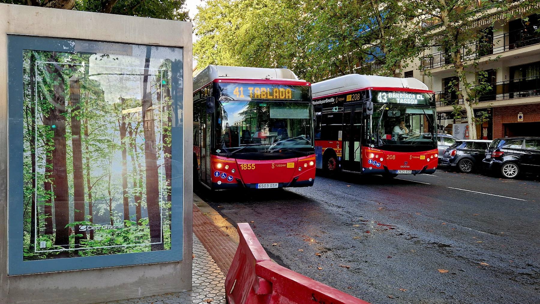 Autobuses de Tussam circulando por Sevilla (AYUNTAMIENTO DE SEVILLA).