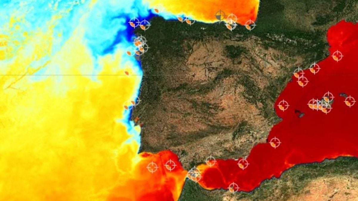 Registros de temperatura del agua en el Mediterráneo. PUERTOS DEL ESTADO