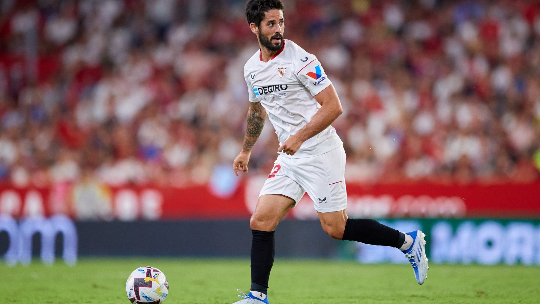 Isco Alarcón,