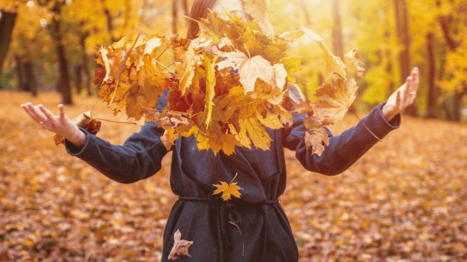 Otoño, hojas