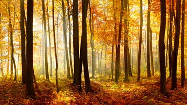curiosidades equinoccio otoño