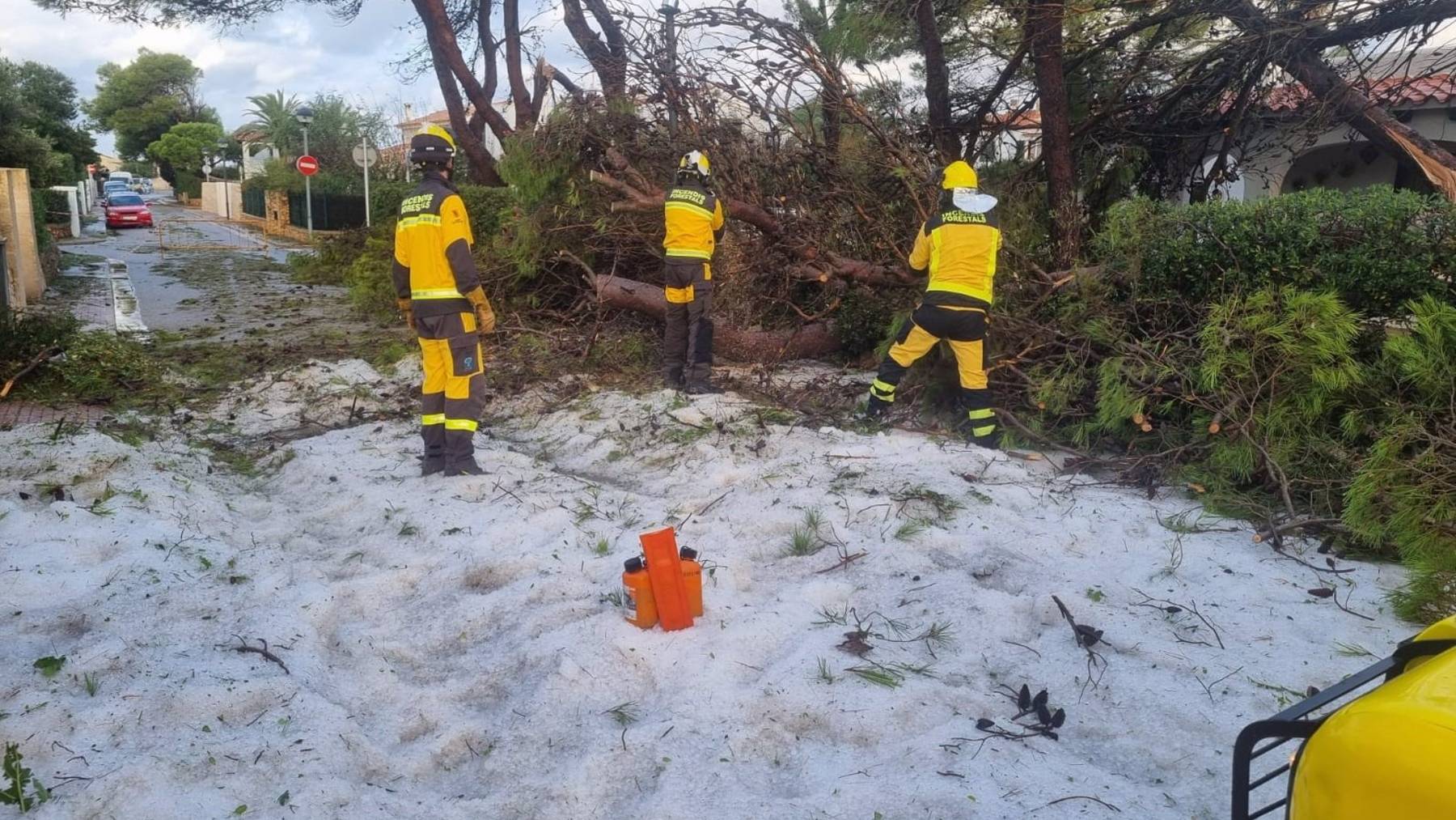 Efectivos del Ibanat actuando ante los árboles caídos en Ciutadella por la fuerte tormenta.