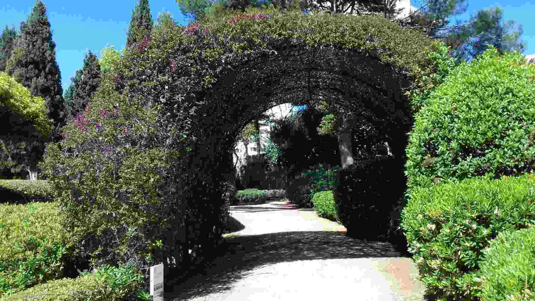 Jardines del Palacio de Marivent. – EUROPA PRESS