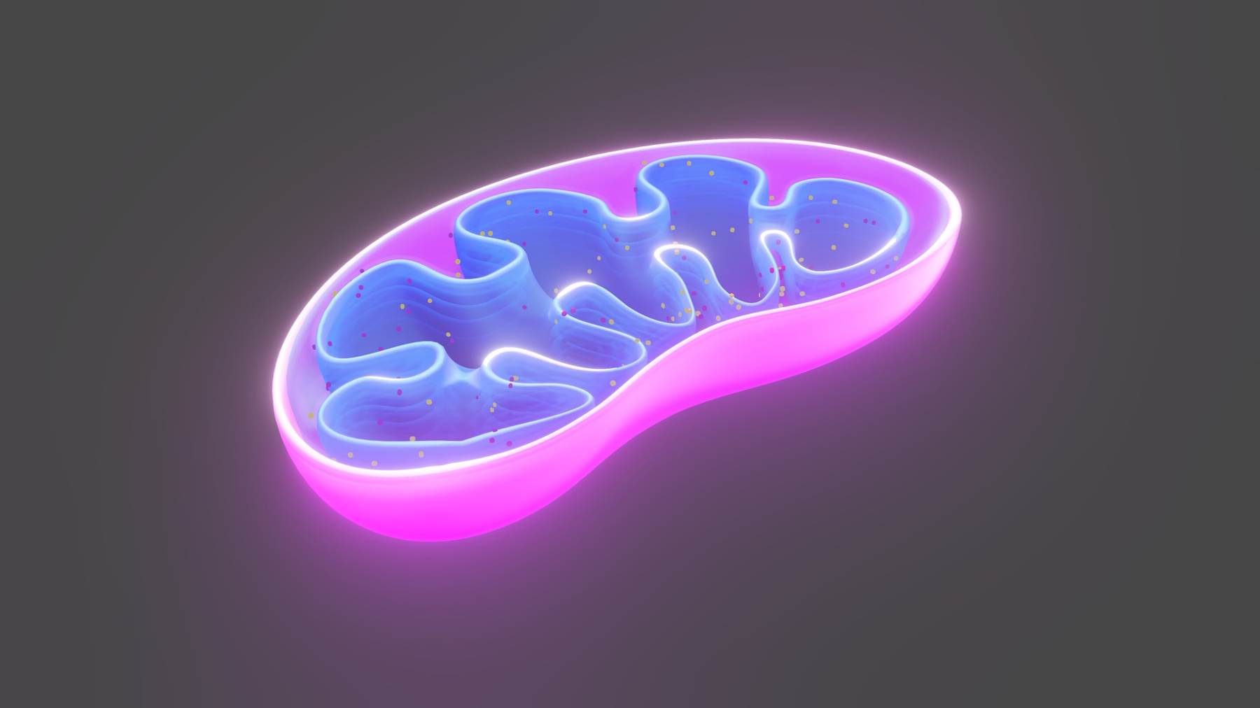 Las mitocondrias