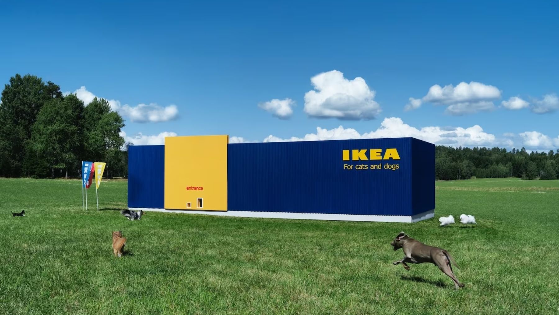 Ikea instaura un cambio que alegra a sus clientes