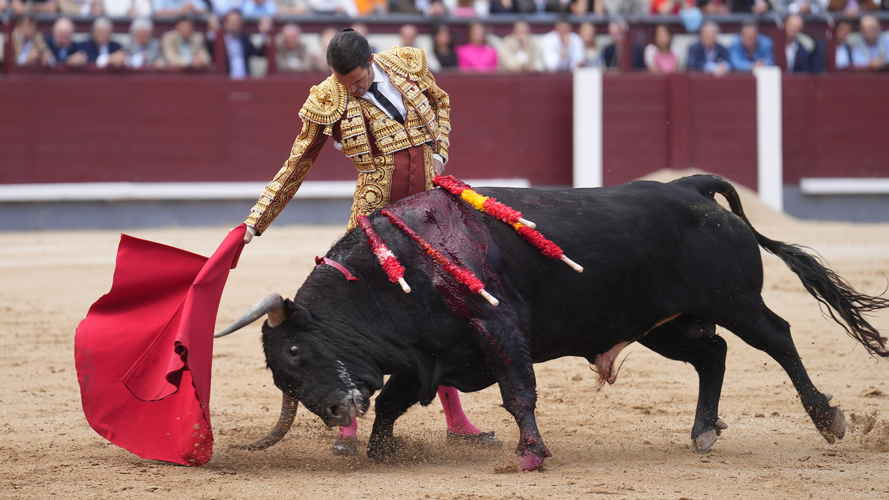 Uceda Leal en un momento de la faena a su primer toro, este sábado en Las Ventas (Foto: EFE).