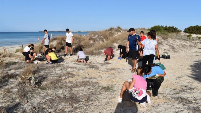 Alumnos de secundaria de Campos contribuyen a la restauración del sistema dunar de Es Trenc