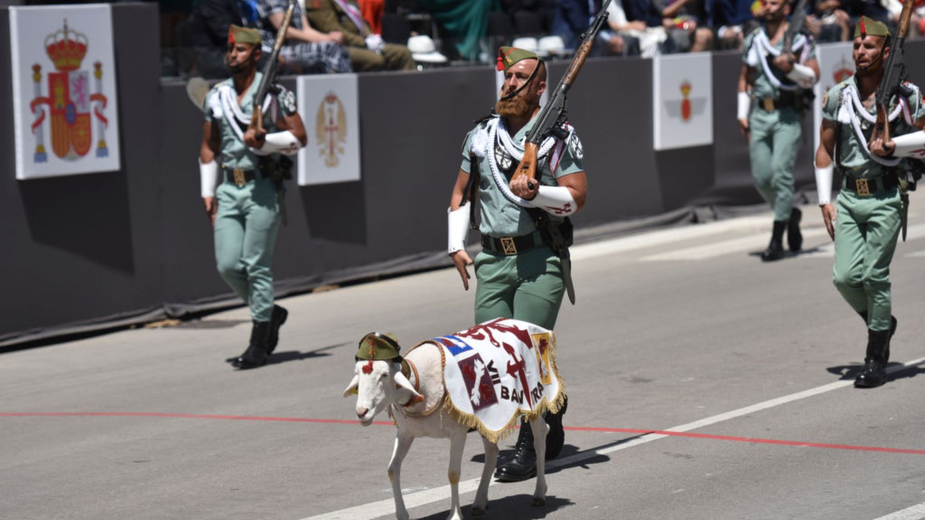 Por qué la cabra es la mascota de la Legión Española
