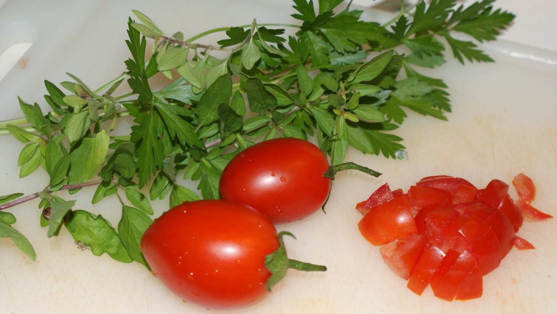 Dos recetas muy fáciles con tomate y orégano