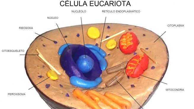 Dibujos de ciencia