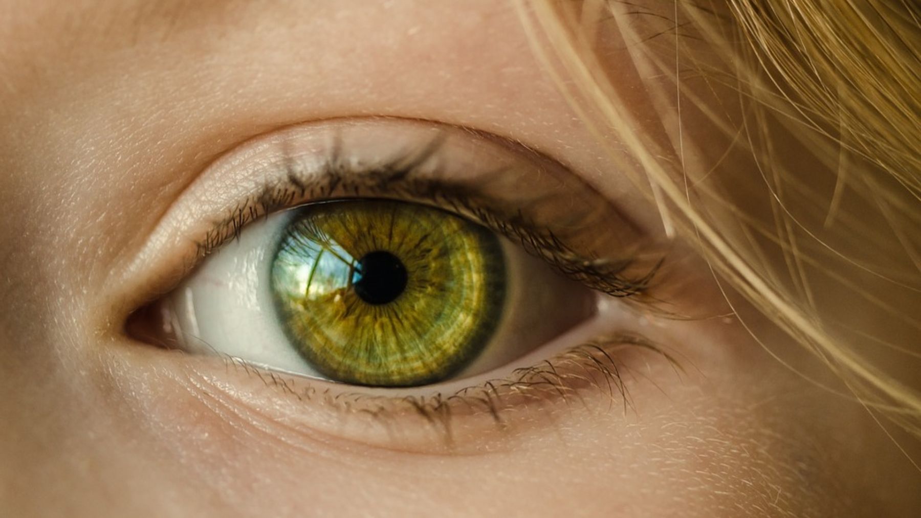 Descubre el estudio que revela de qué modo los ojos indican la vida que nos queda