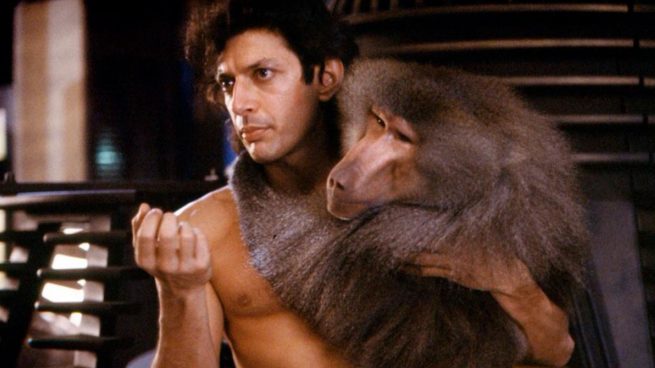Jeff Goldblum cumple años: 5 películas que demuestran su capacidad ...