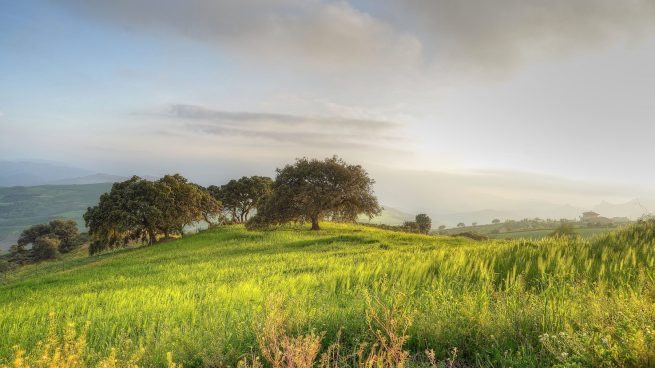 5 destinos para hacer turismo ecológico en España