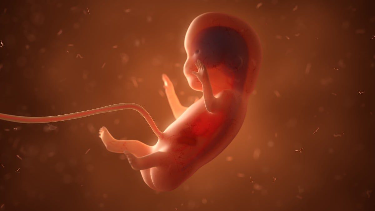 Muerte fetal