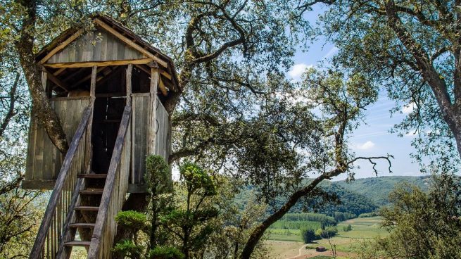 Cómo hacer una casa en un árbol