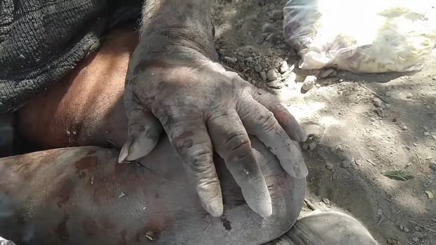 El hombre más guarro del mundo fue protagonista de un documental | Rajasthan vlogs