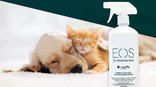 Acaba con el olor de tu mascota con estos desodorantes para perros disponibles en Amazon