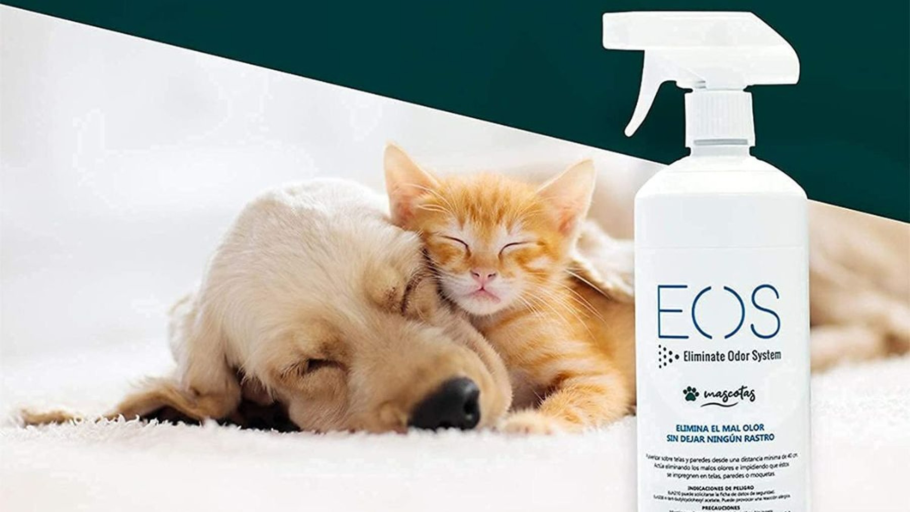 Acaba con el de tu mascota con estos desodorantes para disponibles en Amazon
