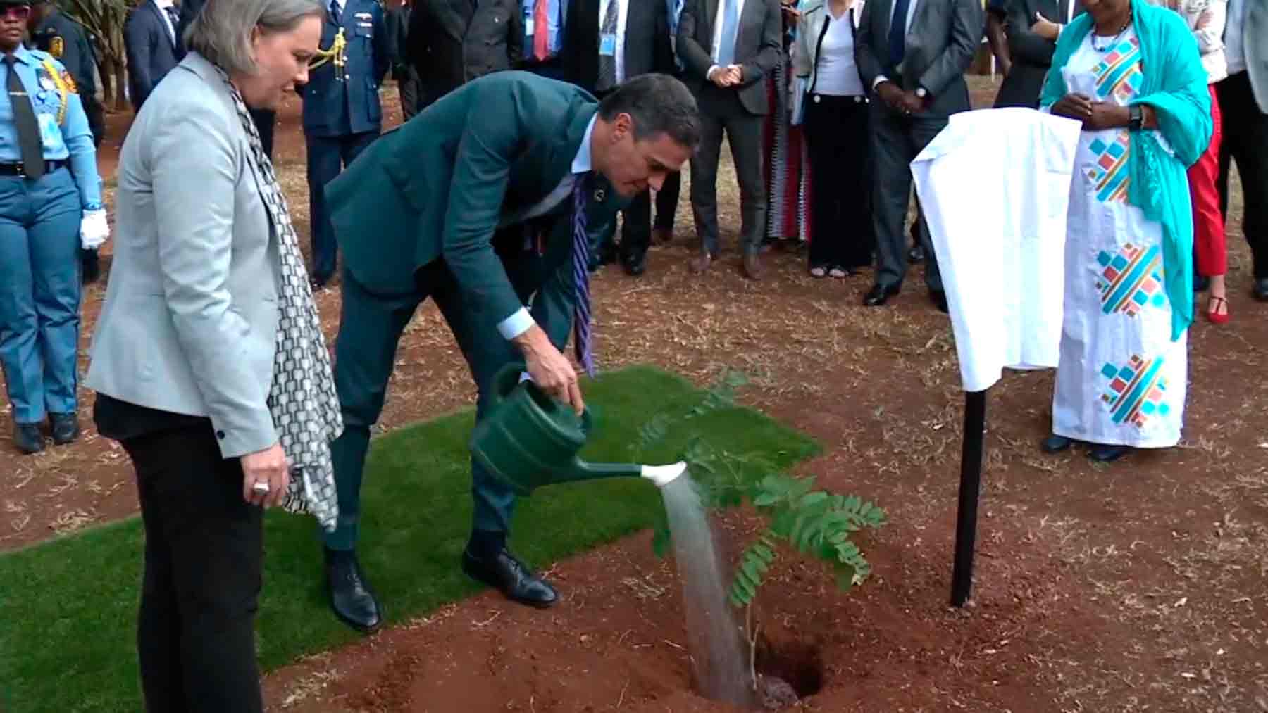 Pedro Sánchez vuelve a ponerse la corbata para plantar un árbol en Kenia