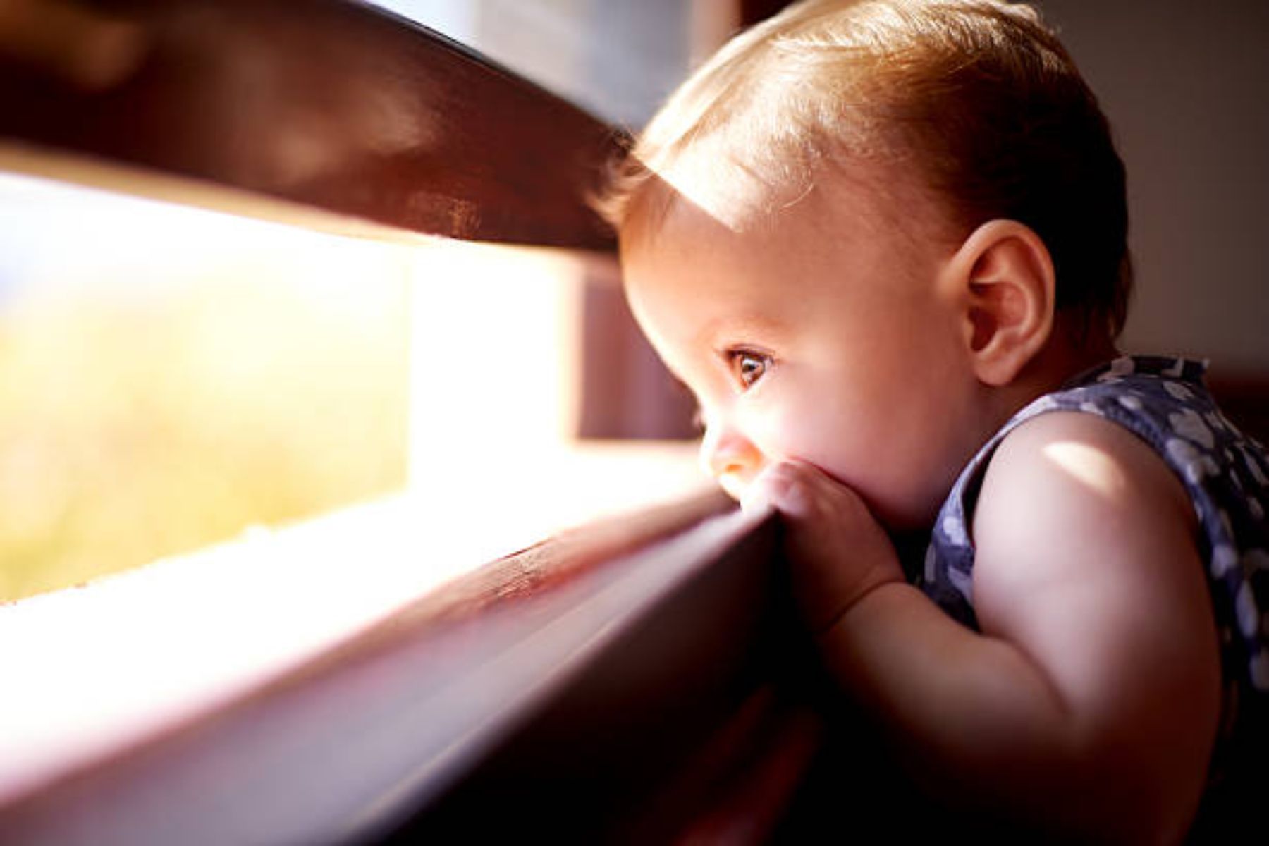 Descubre el estudio sobre la curiosidad de los bebés
