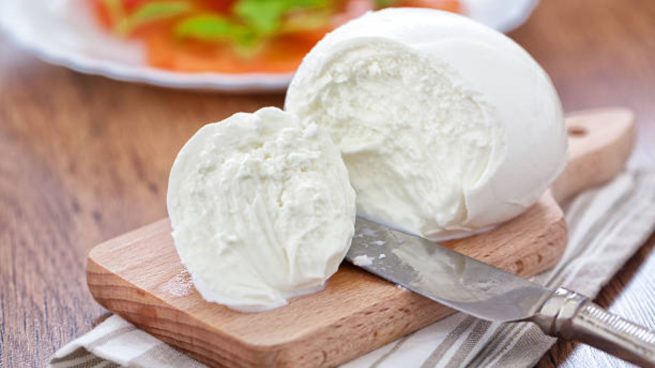 mozzarella