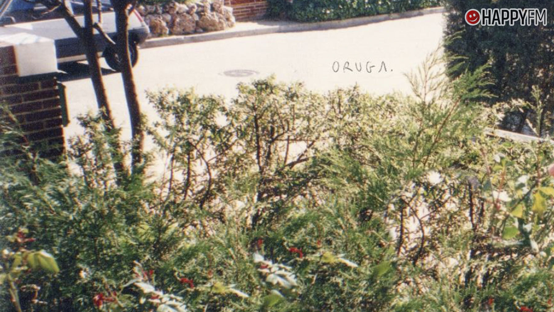 Oruga.