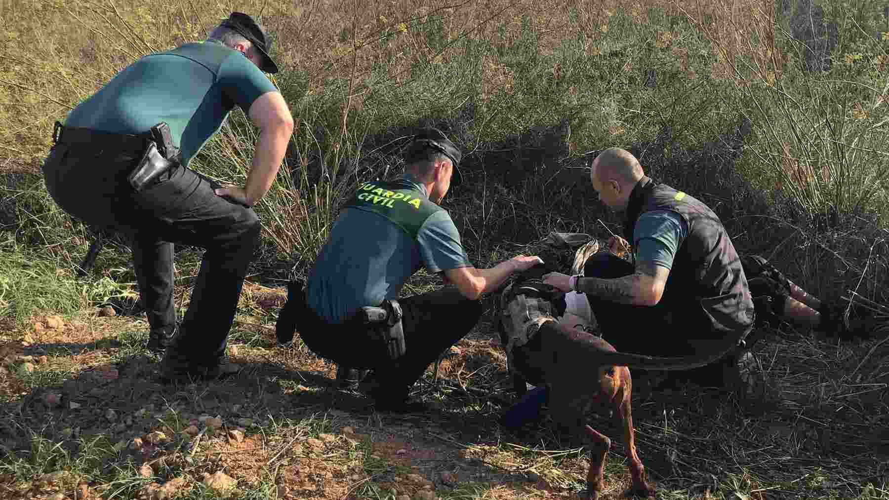 Un perro de la Guardia Civil localiza al anciano desaparecido. GUARDIA CIVIL