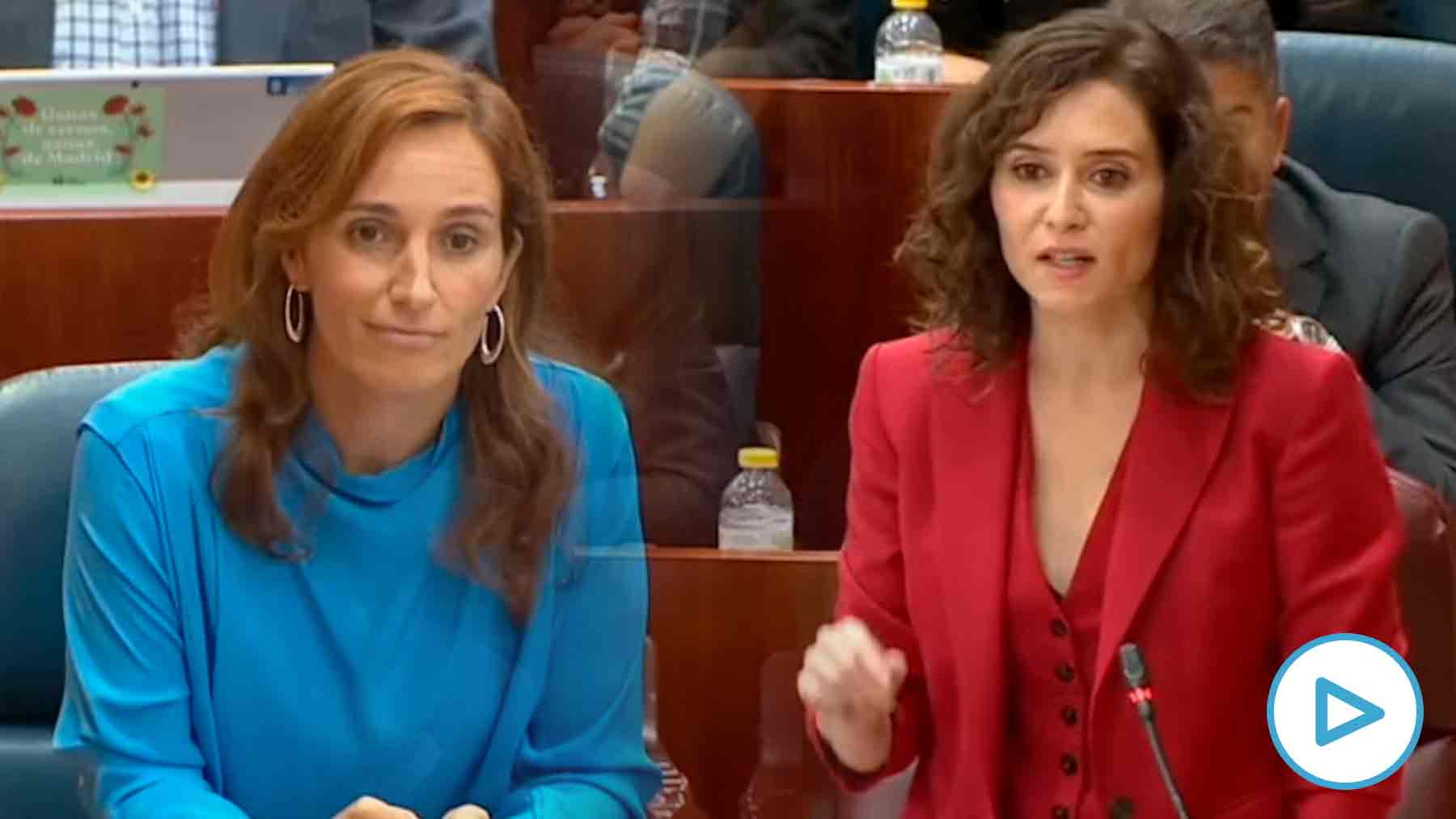 Isabel Díaz Ayuso acusa a Mónica García: "Los médicos se abochornan de ...