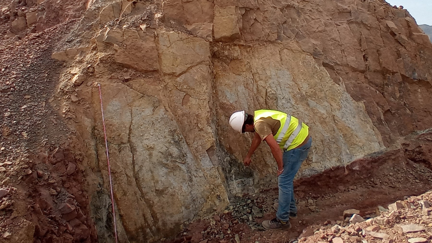 Restos arqueológicos de hace más de 200 millones de años hallados en Algeciras (UMA).