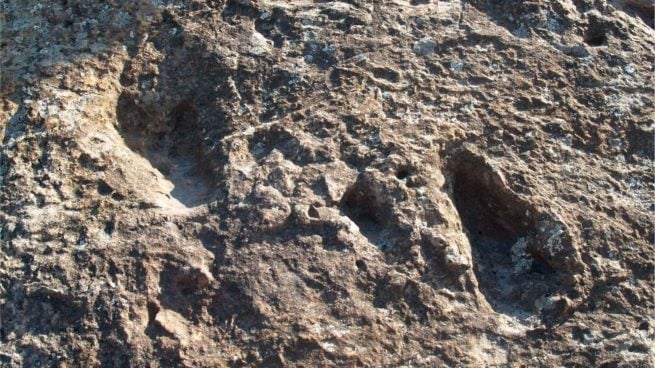 pisadas de homínidos en la playa de Matalascañas