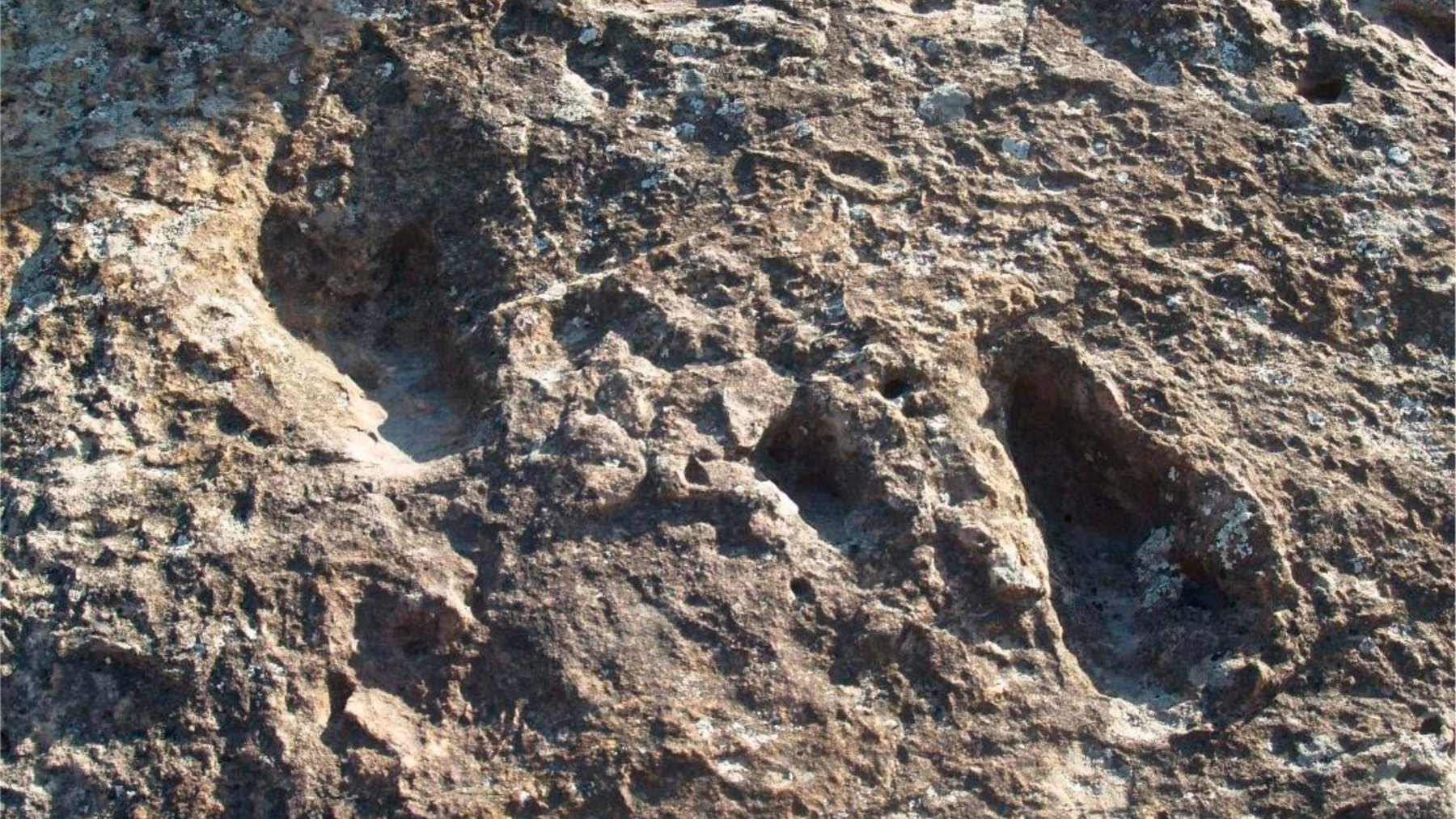 Huellas de Australopithecus halladas en Andalucía (DIPUTACIÓN DE MÁLAGA).